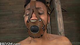 A Tale Of Sadomasochism In Hardcore Porn