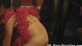 get ready for sissy humiliation crash course