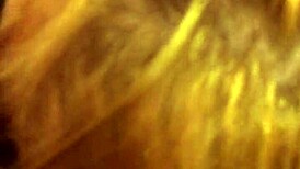 alex hardcore throat fuck