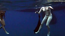 steamy underwater adventures on tenerife coast