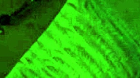 in summer with mia 2 part 12, the wife masturbates while giving a handjob to a big cock