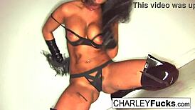 charley chase is just begging to be whipped, what are you waiting for?