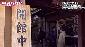 Let's enjoy the Nanachi together 😊