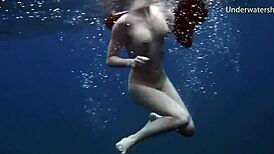 steamy underwater adventures on tenerife coast