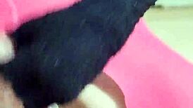 Ladyboy rides dildo for first time solo shemale fun 🥵