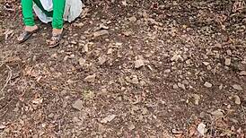 Indian Aunt Creampied in Jungle Threesome