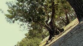 en el loco burdel, tío paco, la enfermera sexy, el poli facha y la reina de los squirts hacen de todo en el episodio 2 😈💦