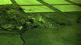 Teen Strips for Boyfriend in Bondage, Clothes Ripped, Extreme Domination