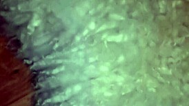 My Step Daddy Fuck Me Hard