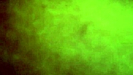 i'm wet n cheatin with this bitch's pussy