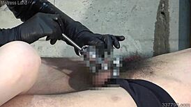 kira, facesit and torture my nipples?