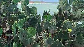 Videos vazados: Tik Tok babe in lingerie, wanna see more?