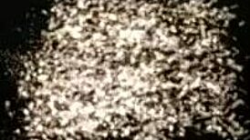 Group ass fucking in nature with two hot chicks! 😍