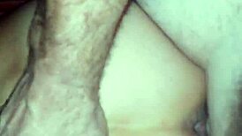 Valentine's Day Pussy Sex Celebration