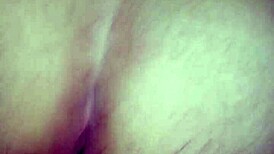 São João Bareback Brazilian Amateurs