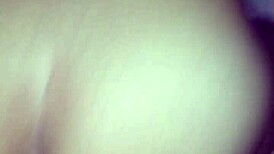 São João Bareback Brazilian Amateurs