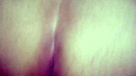 São João Bareback Brazilian Amateurs