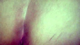 São João Bareback Brazilian Amateurs