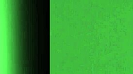 Young transsexual in tight doggystyle scene.