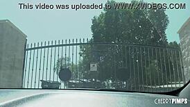 narrative sexy petite maid lily larimar caught touching herself at work. her client offers a hard ride instead.