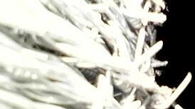 Punheteiro De Plant�o Com Suas Punhetas Do Dia