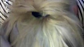 Watch this amateur girlfriend take huge cum shots!