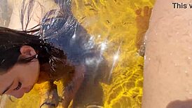 Na Praia Novinha Shy to Keep Sucking with Strangers Watching at Halloween