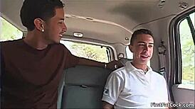 Andrew and kiko get steamy with blowjobs and monster cock sucking