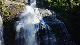 Brazilian pornstars in double penetration blowjob at waterfall