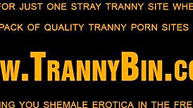 just a latin shemale getting off solo with some hot ink.