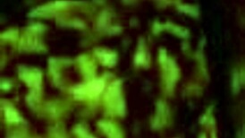 Citor3 Femdomination 2 3D VR Game Walkthrough 10 Finale Part 2 Cowgirl Anal Futa on Male