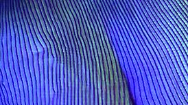 petite latina begs for cock to fill her tight vagina with cum