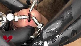 Close-Up View of Amateurs Using a 3-Way Urethral Stretcher for Intense Dilator Pre-Stretching
