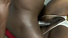 Exotic ebony girls rub wet pussies before hard taboo fucking.