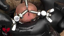 Close-Up View of Amateurs Using a 3-Way Urethral Stretcher for Intense Dilator Pre-Stretching