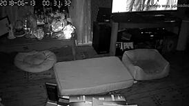 Wife Gives Intense Blowjobs And Sucking Sessions To Her Husband In Their Bedroom