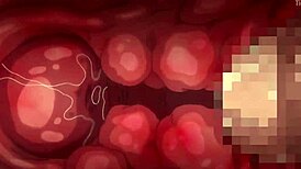 Saimin Seishidou Episode 4