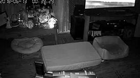 Wife Gives Intense Blowjobs And Sucking Sessions To Her Husband In Their Bedroom