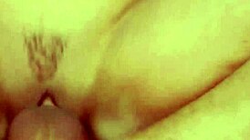 Attractive model couple shares passionate love with blowjobs and sucking.