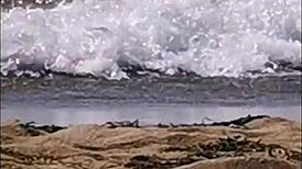 Exhibitionism on the beach with seghe and pompini 😈