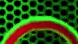 Lesbian Lovers Karen Fisher and Samantha 38g Dildo Drill and Cum