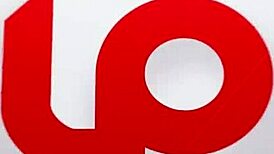 Lauren Phillips and Kiki Daire casually double up on a big cock, sucking and licking it together