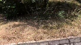 Nina Rivera Sucks Big Black Cock by Riverside