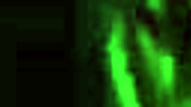 Amateur Japanese Participants Engage In Casual Home Filming Activities