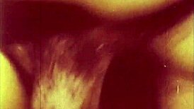 i'm in love with the wonderful world of vintage pornography threesomes featuring hairy beavers and retro fucking