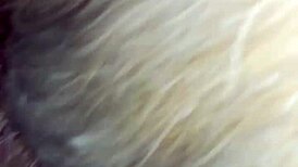 i'm watching this wife on all fours getting blowjob and fucked doggystyle with big ass bent over so slutty