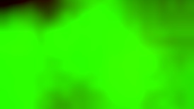 Perla Rides Cock And Moves Her Body In Sexy Ways, Grinding Hard