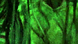 brazilian visitor returns home after a long meal