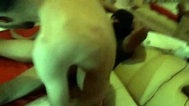 Young Guys Fuck In Hotel Room, Full Video Of Black Guy Ripping School Friend's Ass