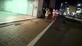 Asian Girl Gives Detailed Blowjob With Toys